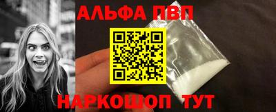 стаф Кингисепп