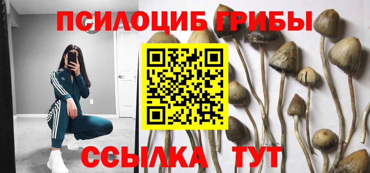 Галлюциногенные грибы мухоморы Елец