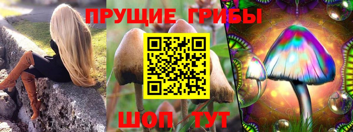 Псилоцибиновые грибы GOLDEN TEACHER  Вход с VPN  дарнет шоп  Елец 